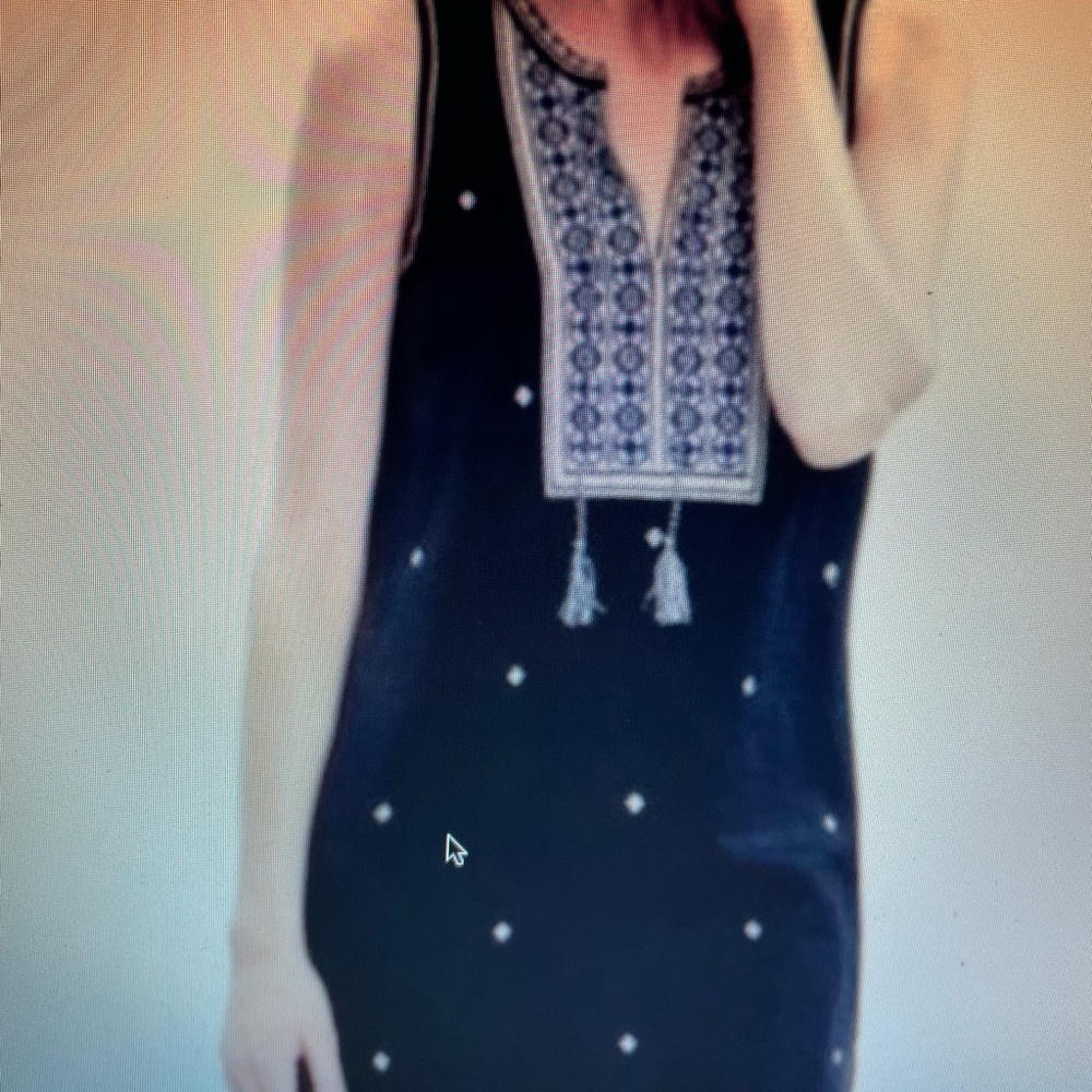 Madewell embroidered sleeveless Suncoast dress